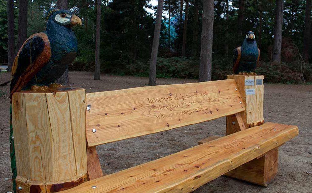 New wooden bench decorated with wooden peacocks sat in the forest