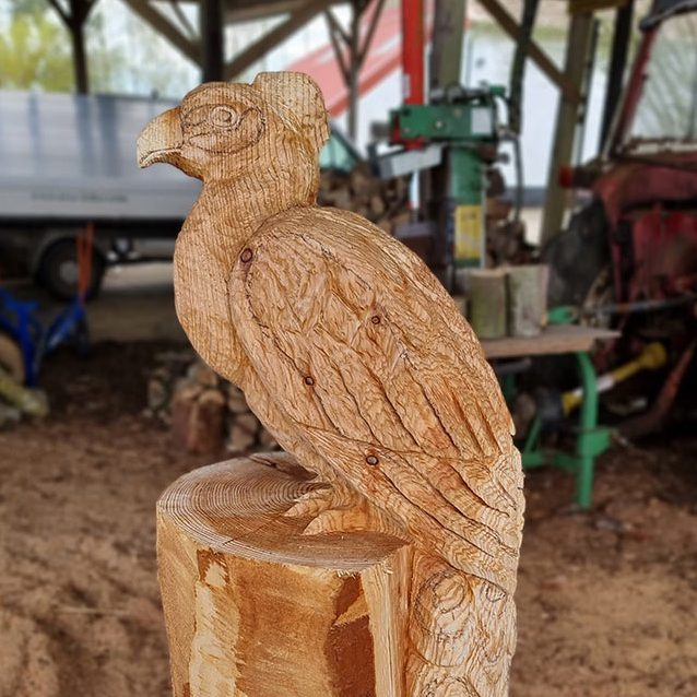 A progress picture of the wooden sculpture of percy the peacock - before colour was added