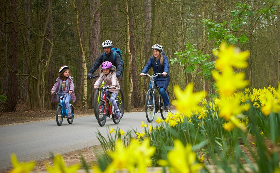 mum, dad and daughters riding cycles through daffodil lined path