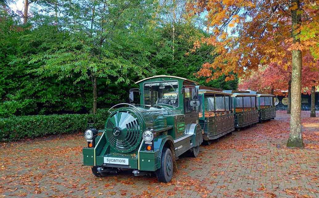 Land train parked between two trees in a autumnal setting, with fallen leaves on the floor.