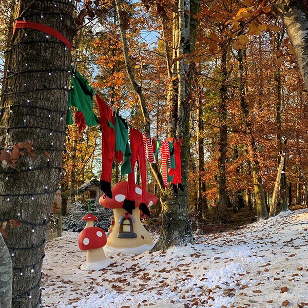 Washing line between two trees with elf clothes hung up