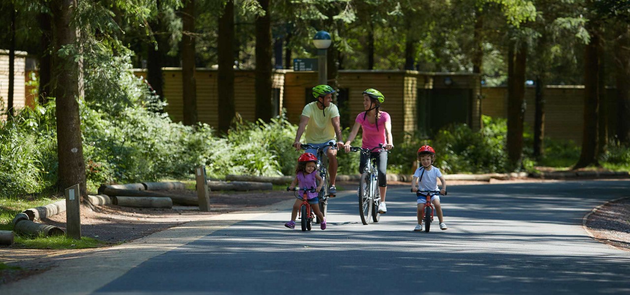 Family riding on bikes through the forest