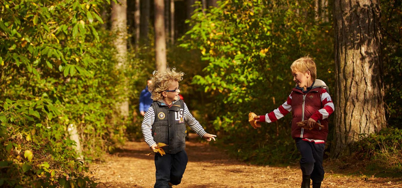 Children running through woods