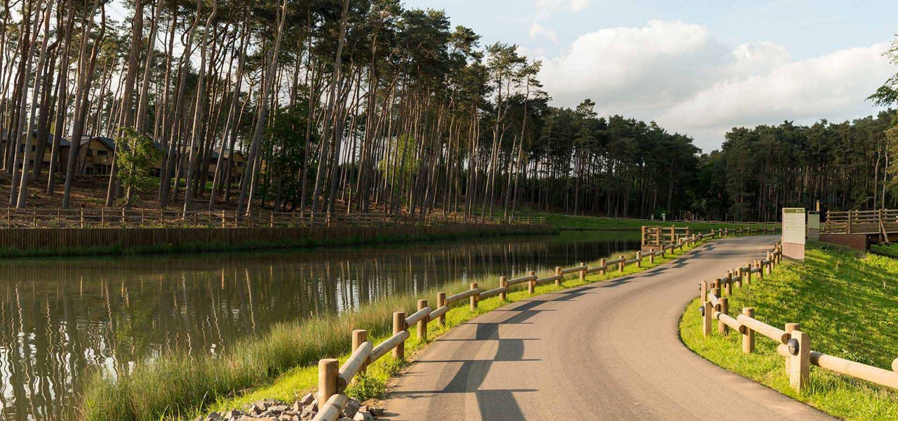 A scenic image of a path next to the lake at Woburn Forest 