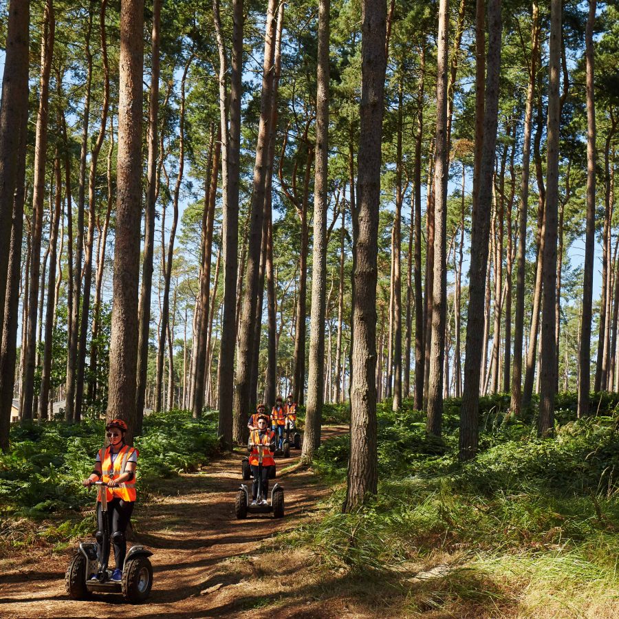 Group of people on Segways through a forest