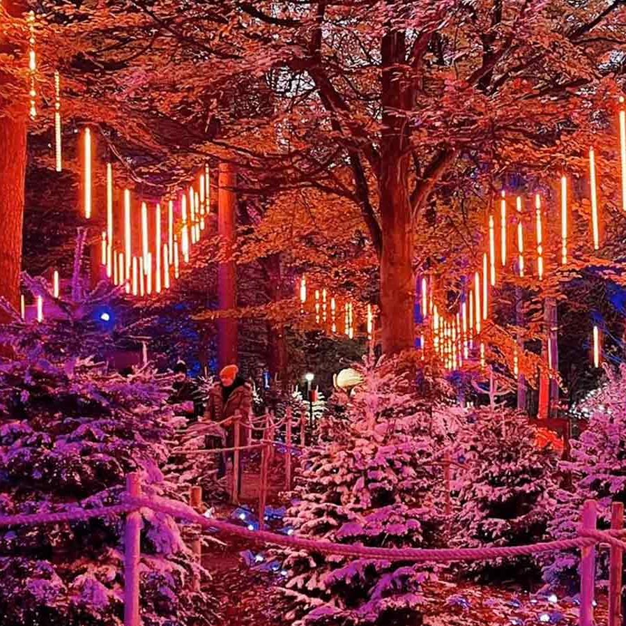 Hanging neon light tubes glow vertically, illuminating a winter forest. Snow-dusted fir trees border a rope-lined walkway as people stroll; small lit huts appear in the background at dusk.