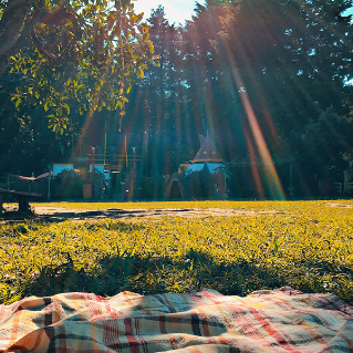Picnic blanket on grass in sunlight