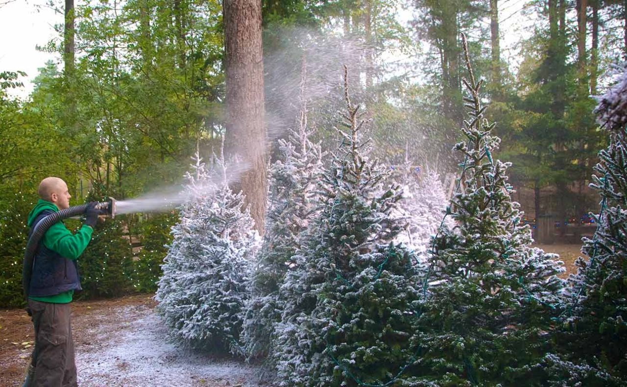 A man spraying snow onto Christmas trees