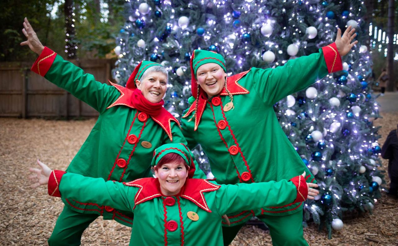 Elves posing in front of a lit Christmas tree