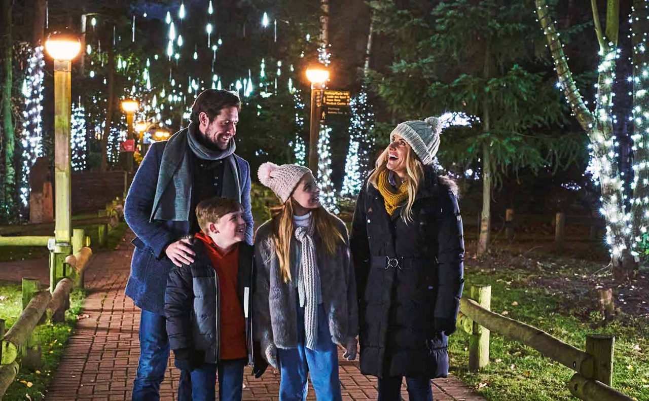Family walk through Winter Forest Lights show