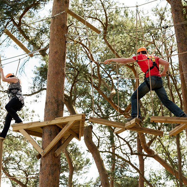 Guests completing the Aerial Adventure course