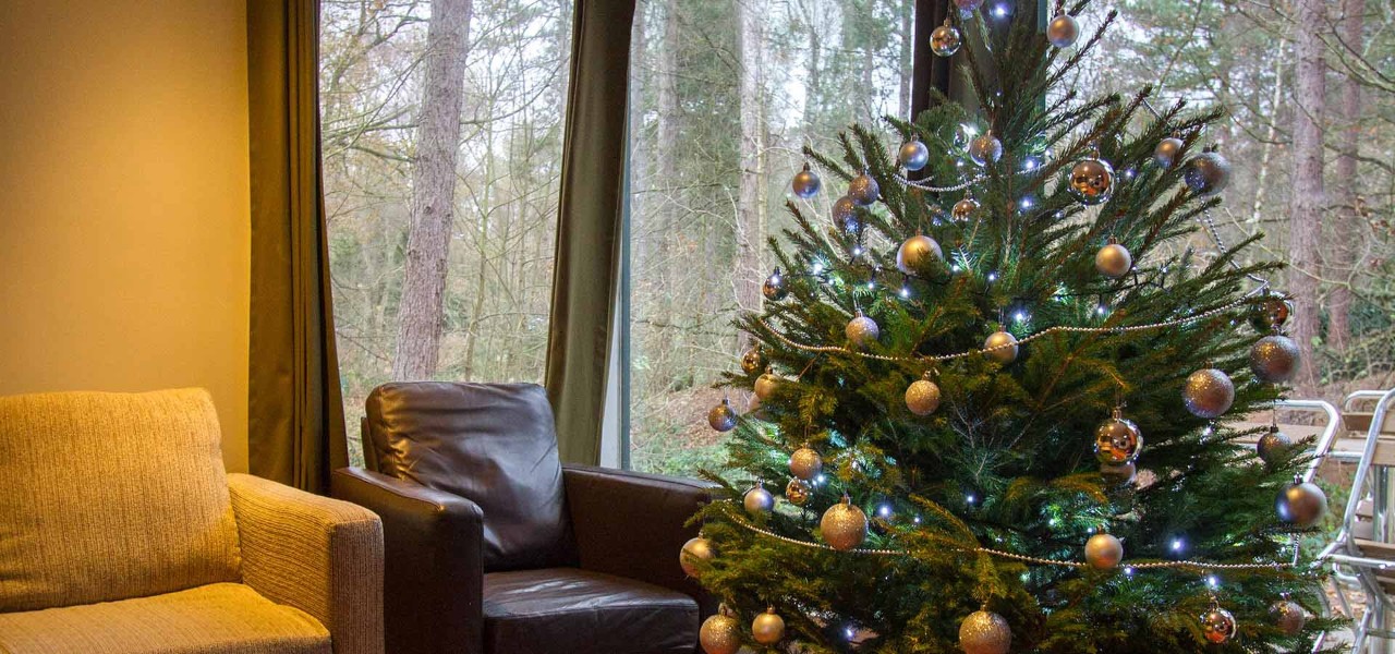 A decorated Christmas tree inside a lodge.