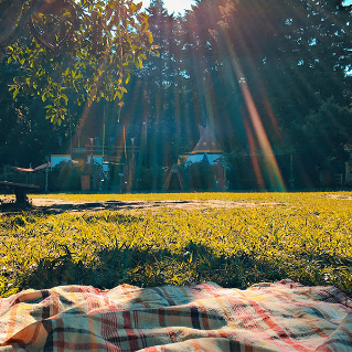 Picnic blanket on a sunny grass lawn