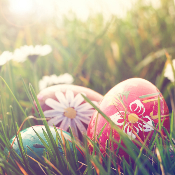 A close up of easter eggs hiding in grass