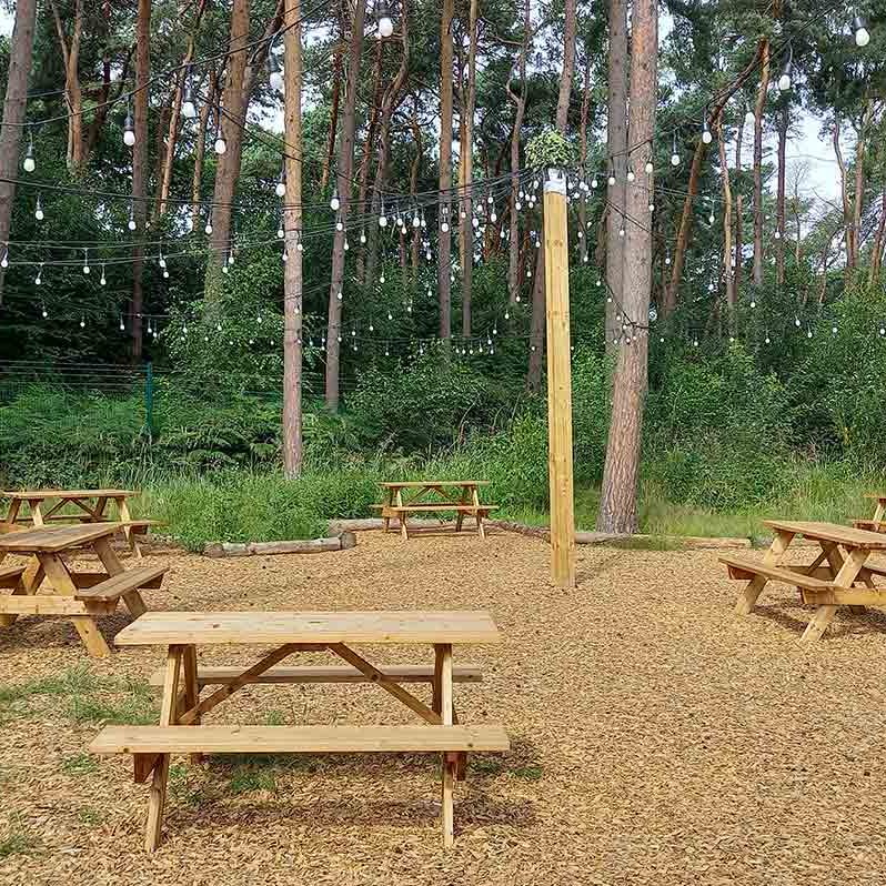 Seating area in the forest with benches