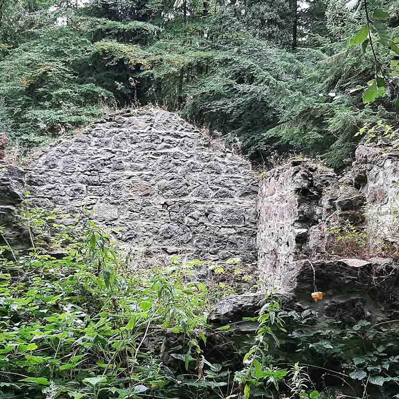 Longford Forest Herdman's Hut archaeological ruins.