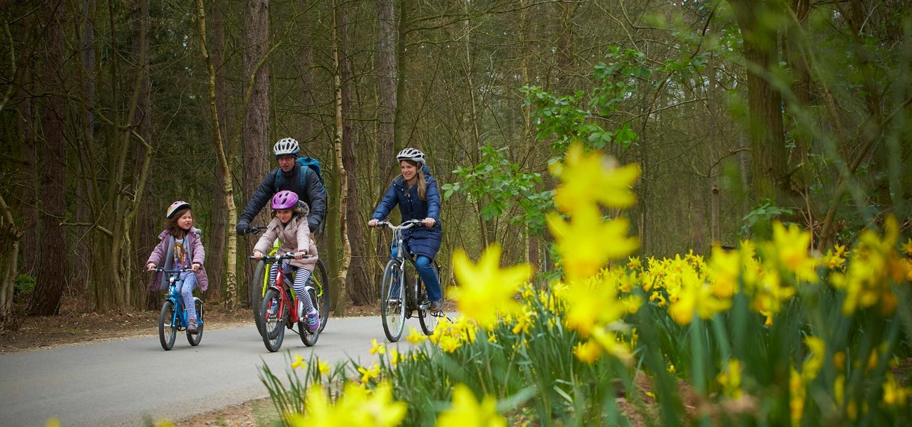 Family on a bike ride in the forest