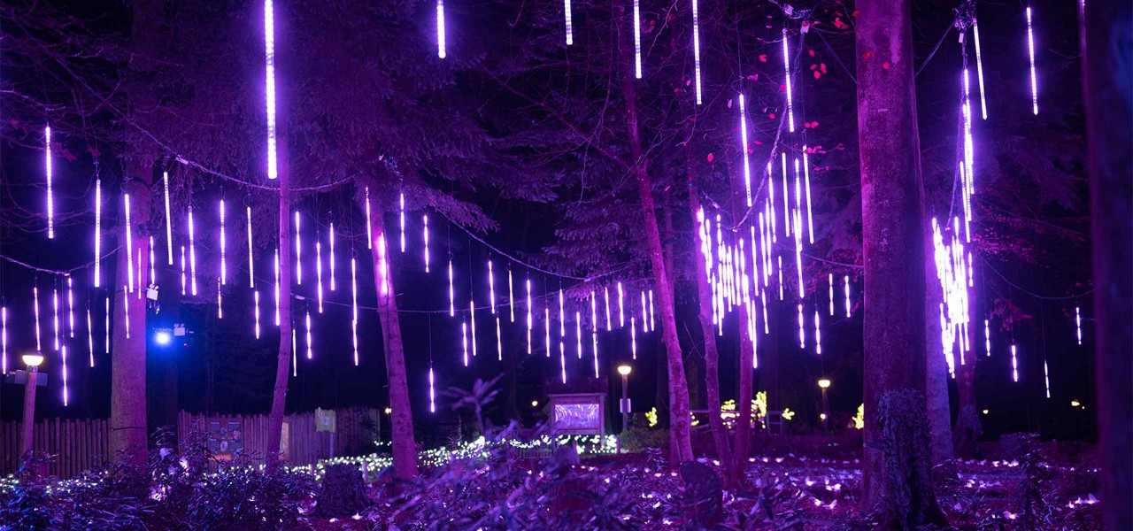 Hanging LED light tubes glow purple, suspended from tree branches, illuminating a nighttime forest walkway with dripping-icicle patterns while low garden lights and distant lamps punctuate the dark surroundings.