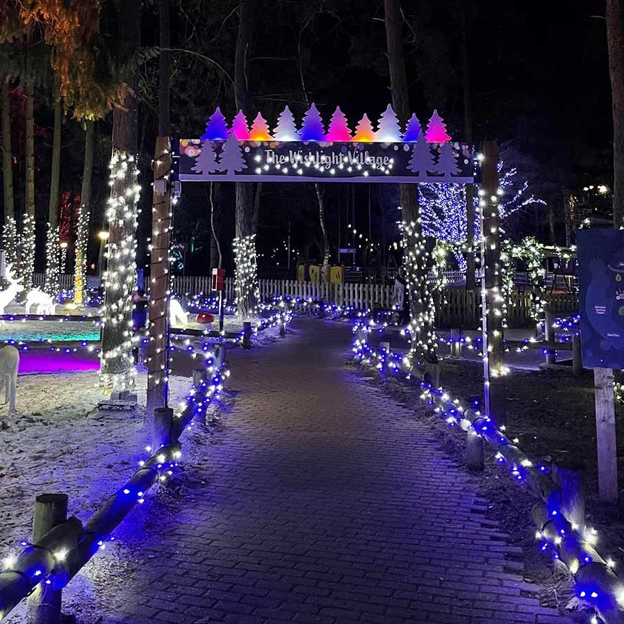 The entrance way to The Wishlight Village, lights leading the way in. 