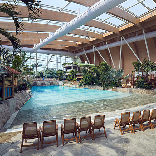 Inside the Subtropical Swimming Paradise pool