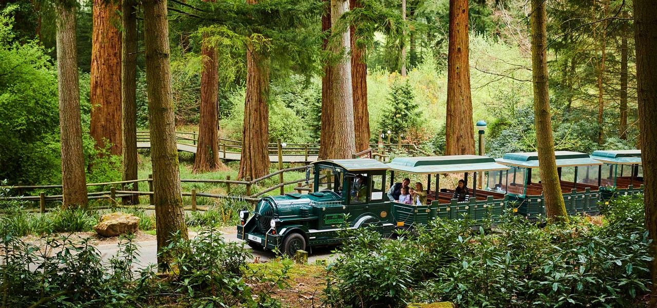 The Land Train at Longleat Forest