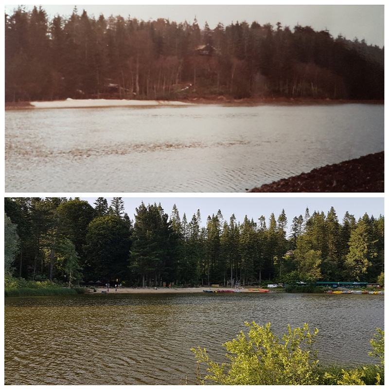 The lake at Longleat Forest, 30 years ago and today