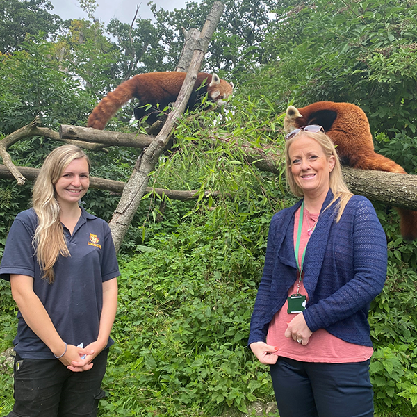 Staff with red pandas