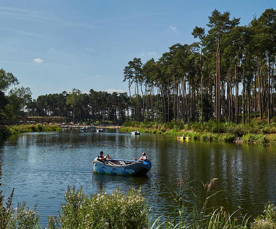 People on an electric boat on the lake with forest either side of them