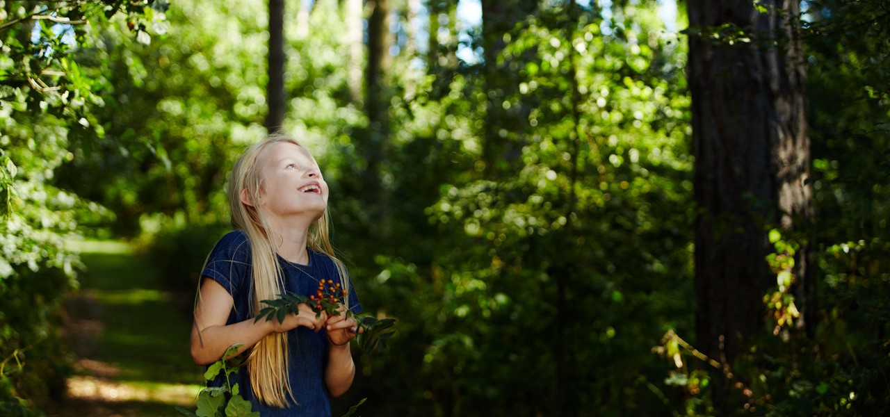 Girl looks up into trees while holding twig with berries