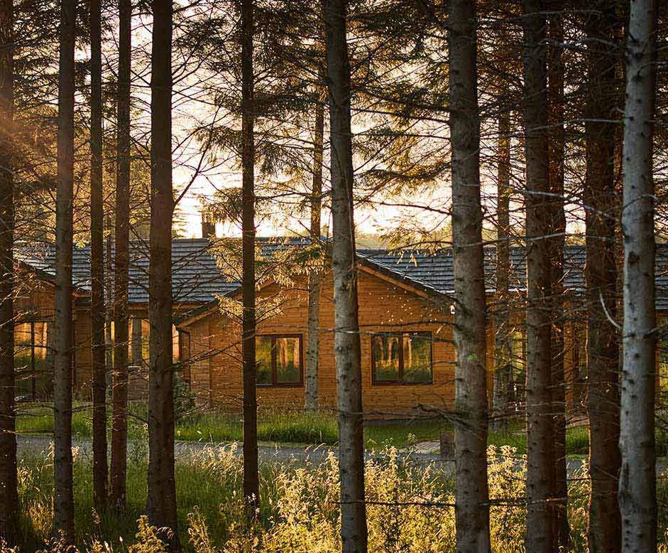 A wooden lodge nestled among the trees