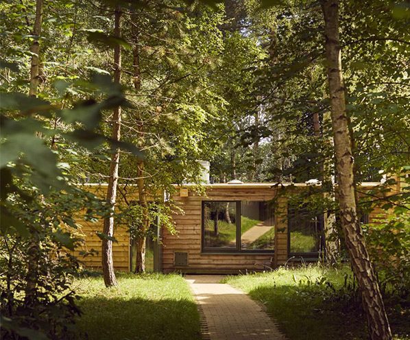 A wooden lodge nestled among the trees