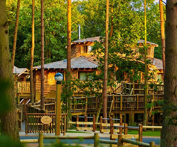 One of our luxury Treehouses nestled among the trees.
