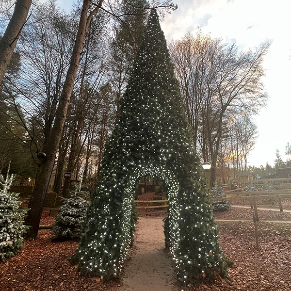 giant Christmas tree arch covered in lights in a leafy forest