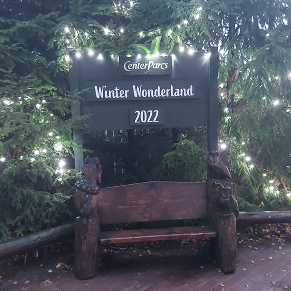 wooden carved bench with Winter Wonderland 2022 sign and lit up trees behind