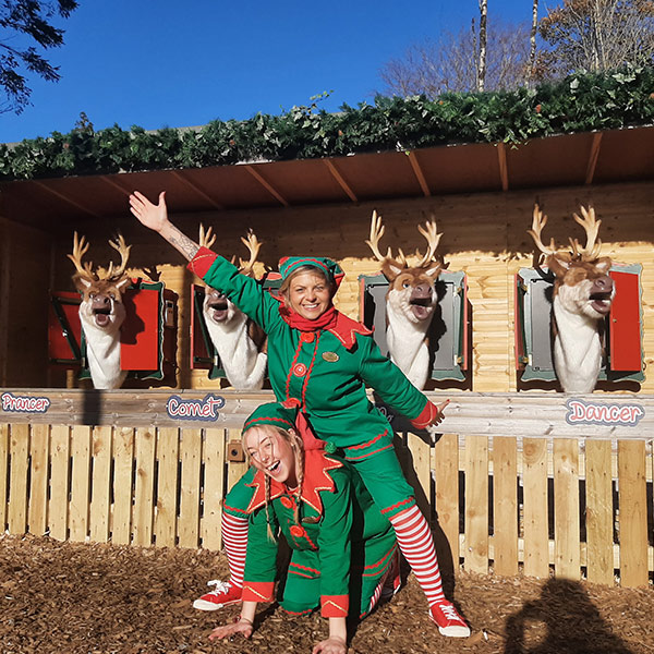 two elves posing in front of the singing reindeers