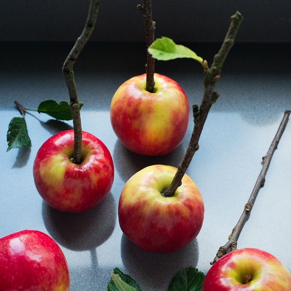 Apples with stick inserted as holders