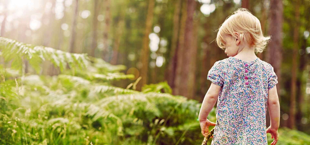Young girl looks at plants in the forest