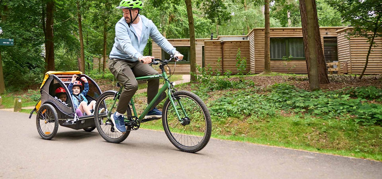 A father and his children cycling through the spring forest.