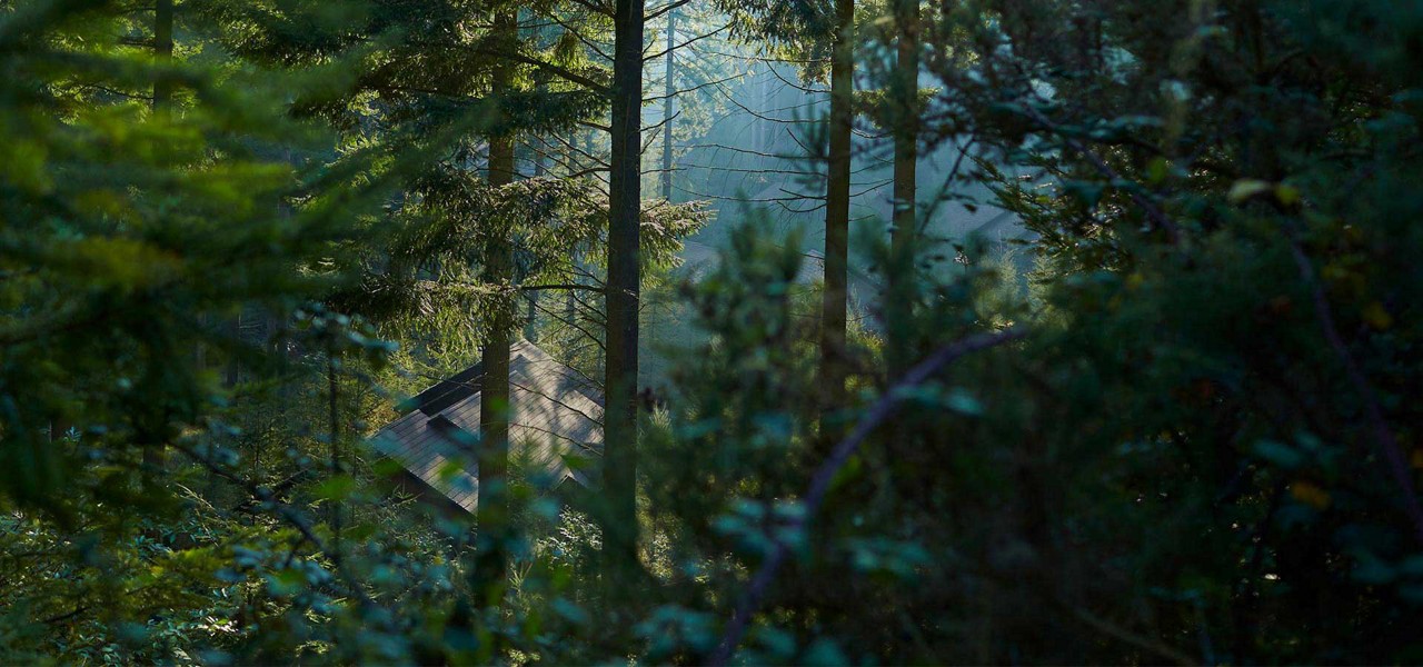 A scenic images of the roofs of accommodation through the trees