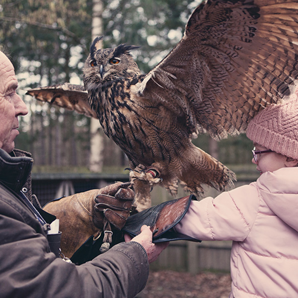 A little girl holding an owl on her arm.
