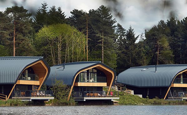 What s So Special About Elveden Forest what-s-so-special-about-elveden-forest