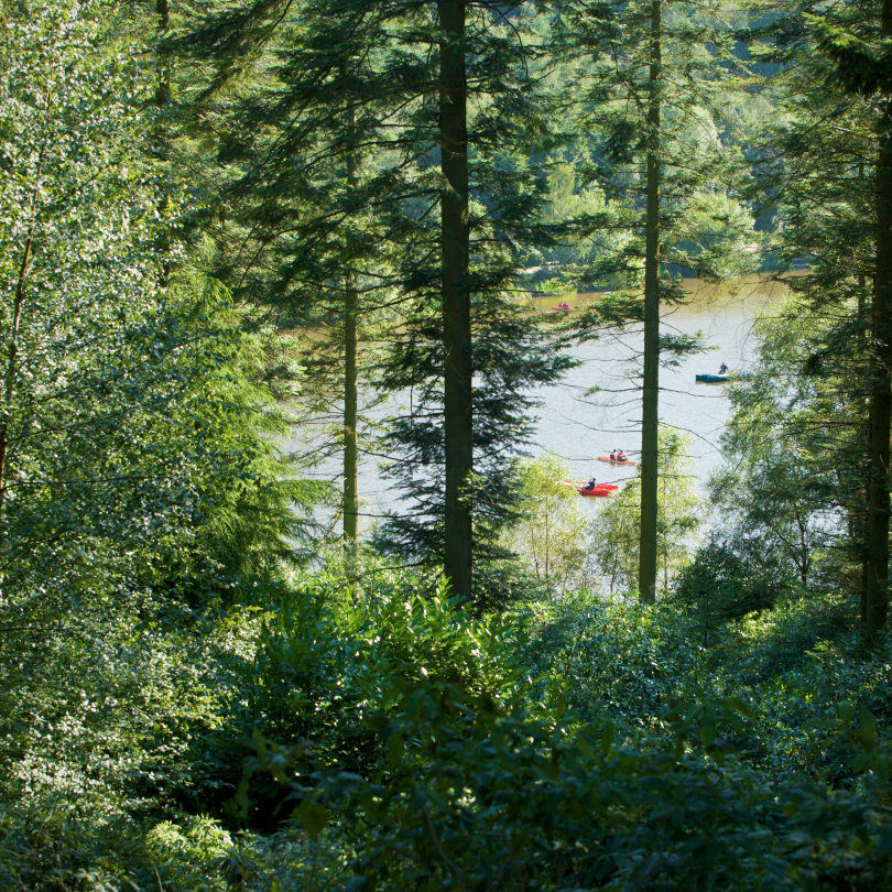 View of the lake through the forest at Longleat Forest