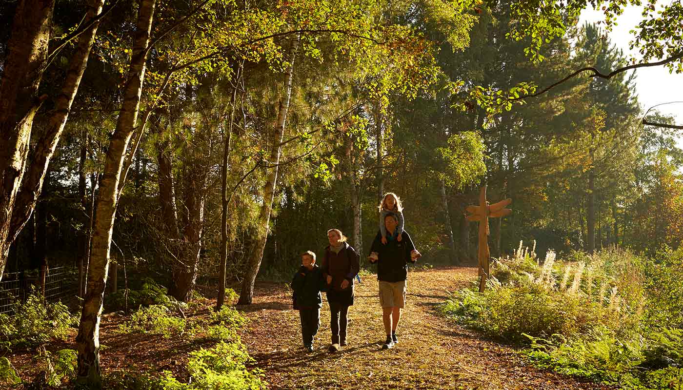 A family on an autumn walk through the forest.