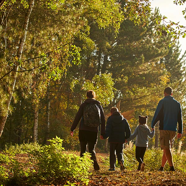 Family walk into the woods
