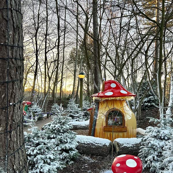 Santa's Woodland Workshop sign surrounded by snowy trees