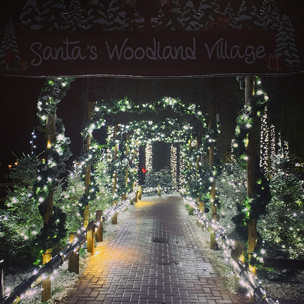 A walkway lit-up with twinkling garlands
