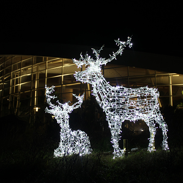Two lit up reindeer decorations by a village path