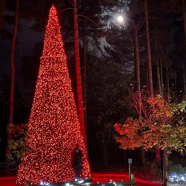 Giant Christmas tree covered in red lights